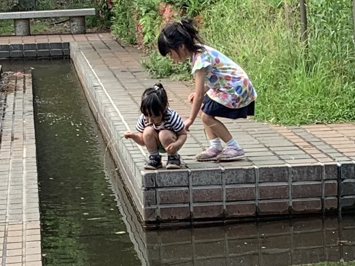 b0330040_17435975.jpeg