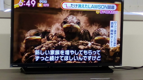 ツバメの巣作りを見て_b0217741_17072752.jpg
