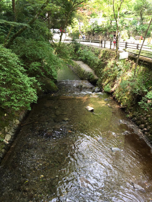 f0183846_21075309.jpg