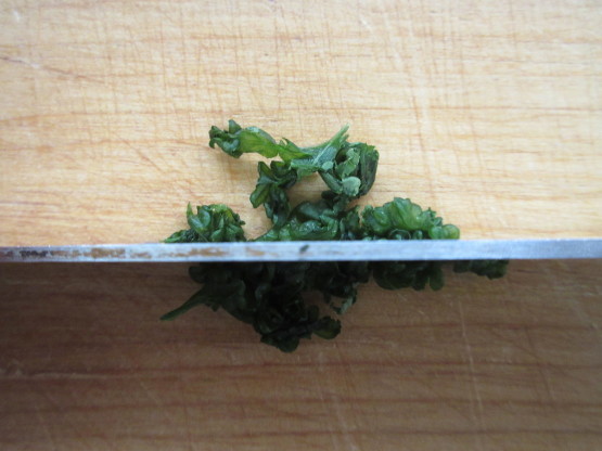 e0038047_20153758.jpg