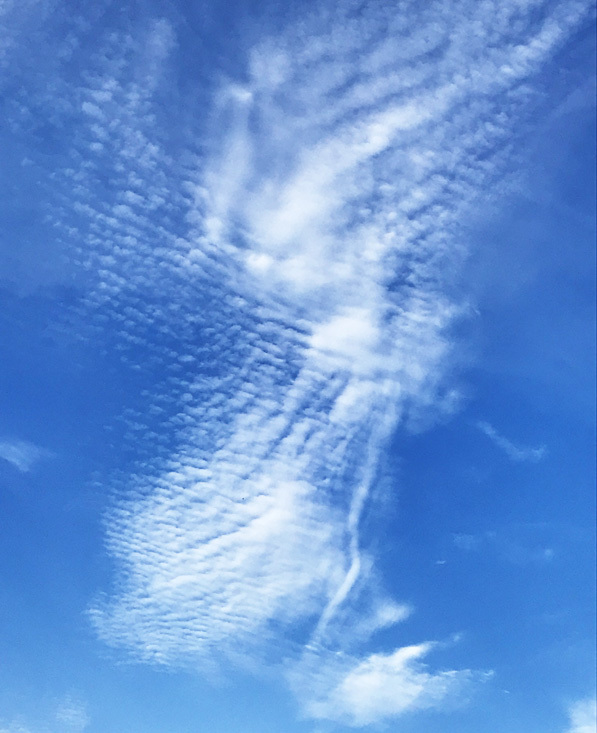d0322448_22464632.jpg