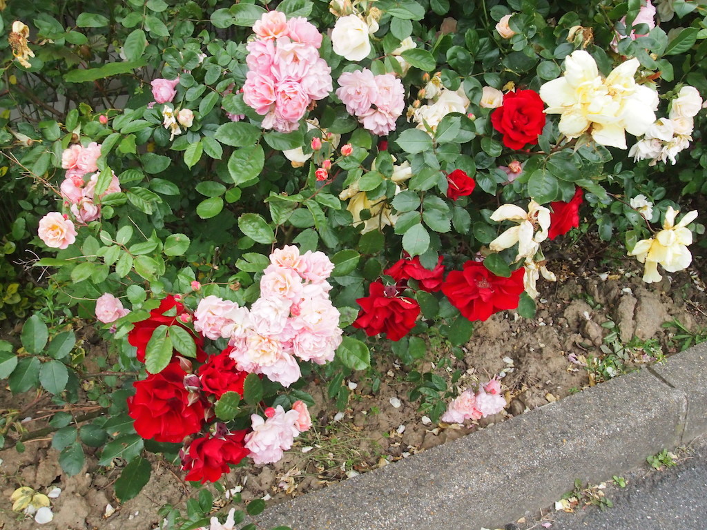 b0396150_15143229.jpg