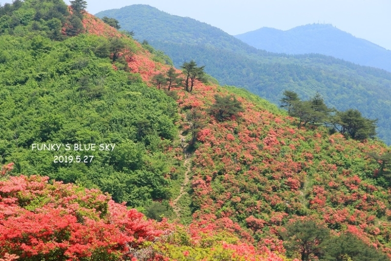 c0145250_20412650.jpg