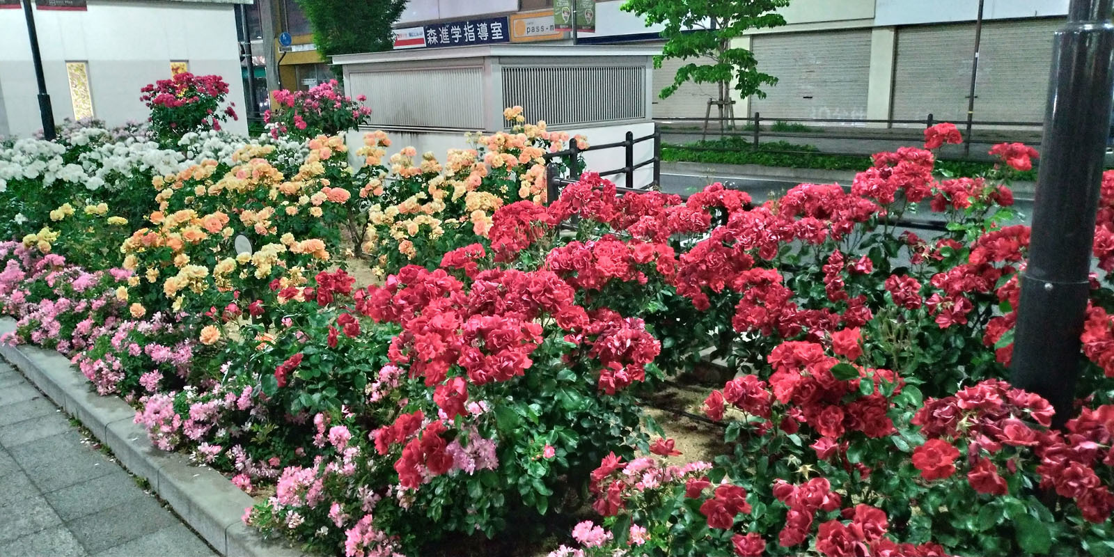 c0058052_01312422.jpg