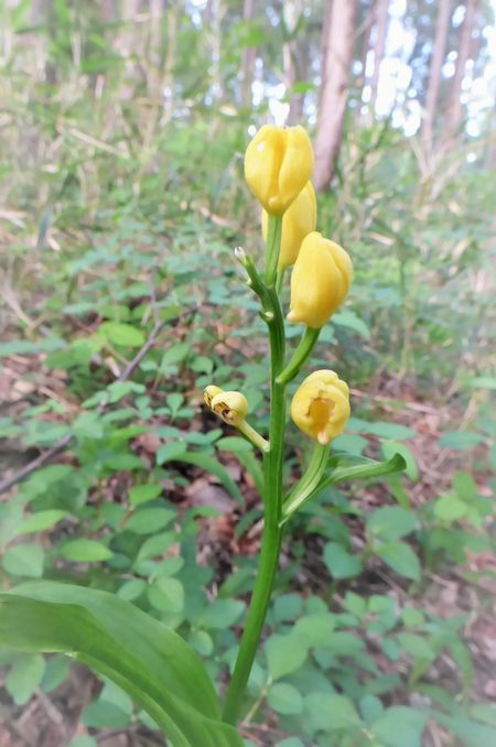 c0294658_22072072.jpg