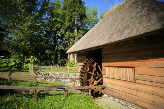 c0251759_16535866.jpg