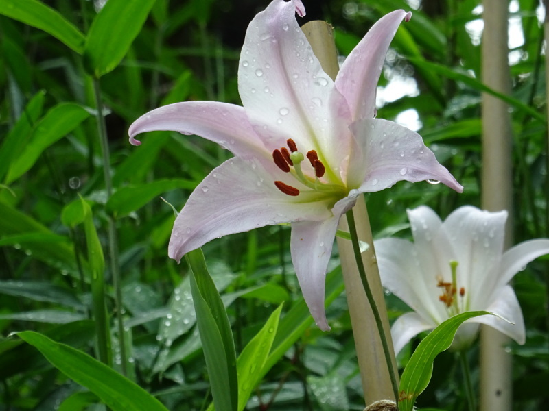 c0108460_20371310.jpg