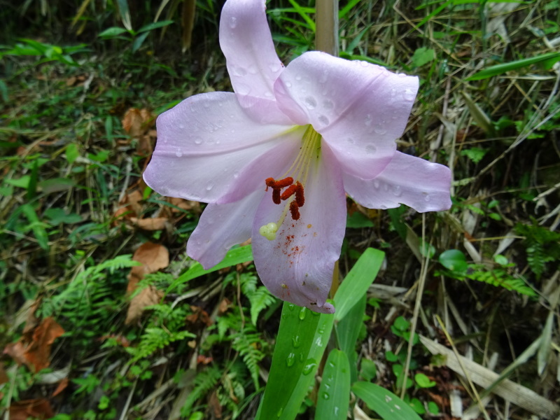 c0108460_20375760.jpg