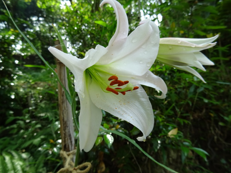 c0108460_20384529.jpg