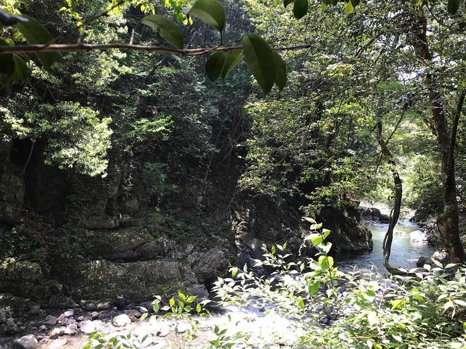 c0115560_12040801.jpg