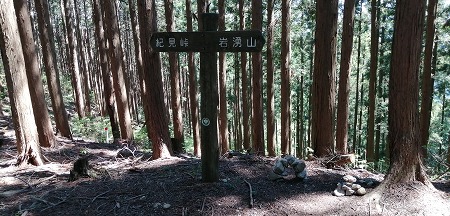 岩湧山　登山道・ダイヤモンドトレール_d0247262_21274277.jpg