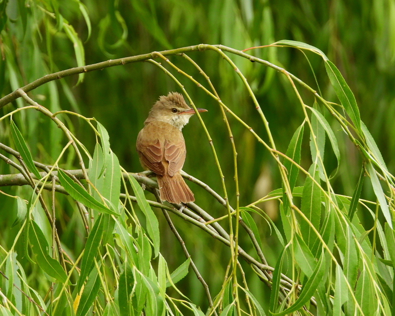 c0305565_17564675.jpg