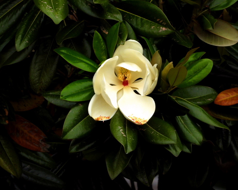 c0305565_17572485.jpg