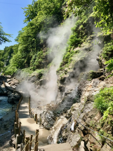 2019東北春の里帰り旅 ＜温泉編 2 ＞_b0299869_14233406.jpg