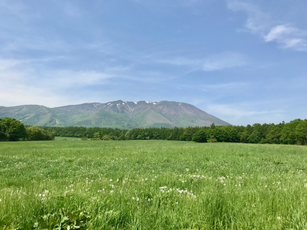 b0299869_22075178.jpg
