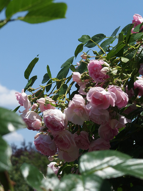 b0006870_004759.jpg