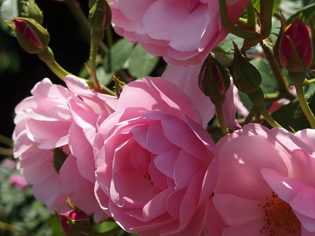 b0006870_023618.jpg