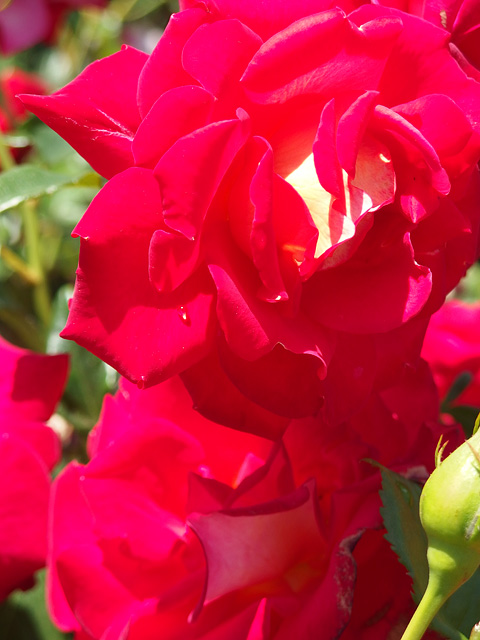 b0006870_064298.jpg
