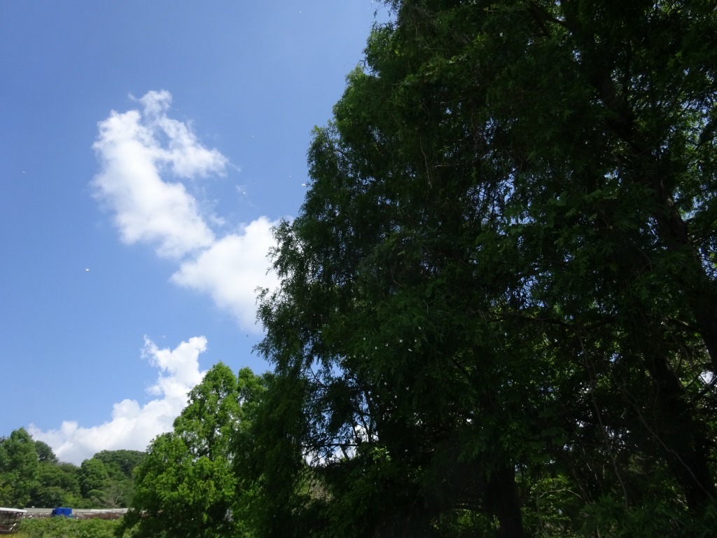 d0061678_19081823.jpg