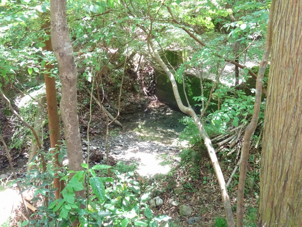 d0061678_19102850.jpg
