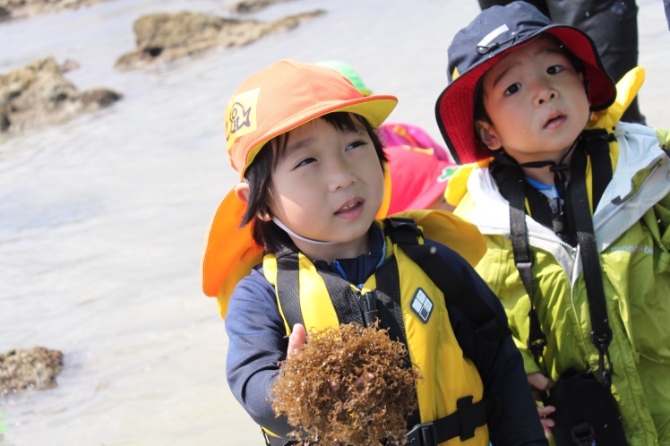 青空ようちえん〔週末〕春の海岸ピクニック(5/5)泳いで!生き物を見つけて!親子でのんびり今年はじめての海遊び_d0363878_00024484.jpg