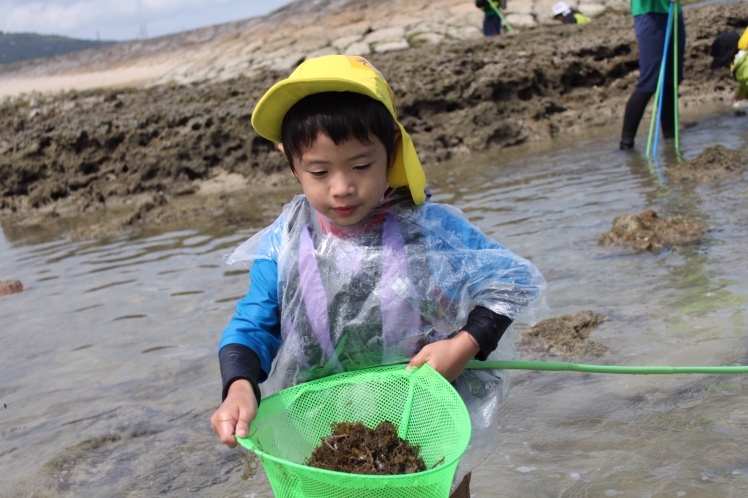 青空ようちえん〔週末〕春の海岸ピクニック(5/5)泳いで!生き物を見つけて!親子でのんびり今年はじめての海遊び_d0363878_00110339.jpg