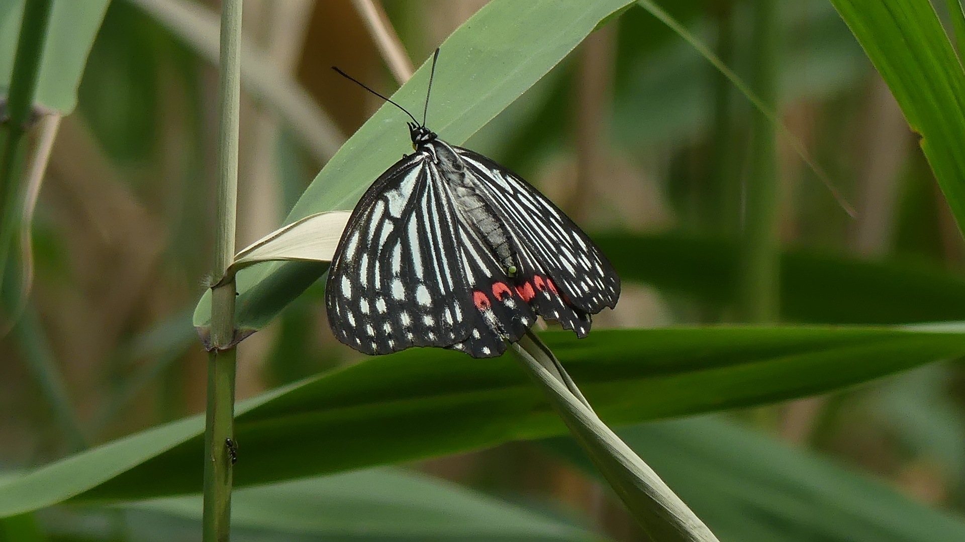 a0185081_22142846.jpg