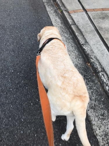 f0315081_22244427.jpeg