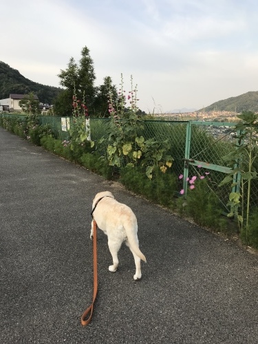 f0315081_22260156.jpeg
