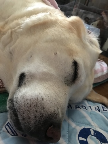 f0315081_22304981.jpeg