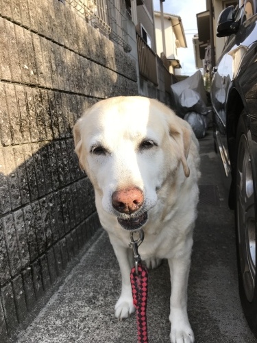 f0315081_22311825.jpeg
