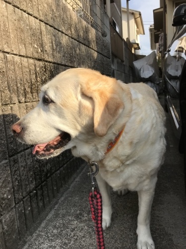 f0315081_22315226.jpeg
