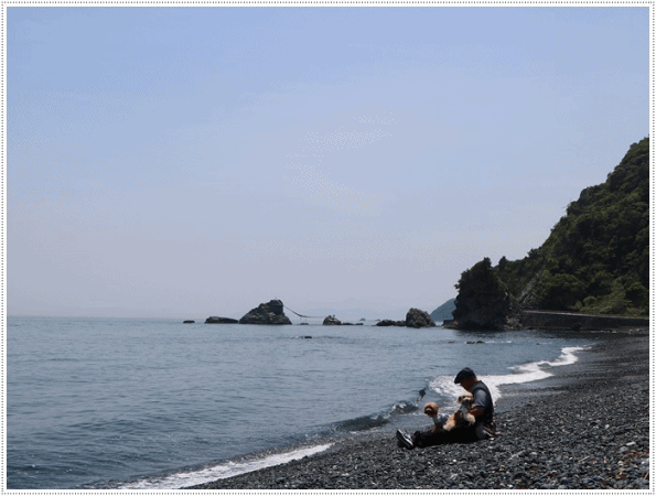 b0175688_11310610.gif