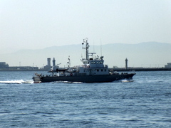 b0192588_836412.jpg