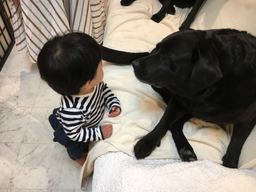 わんこ、歓待❣️_f0347891_07264983.jpeg