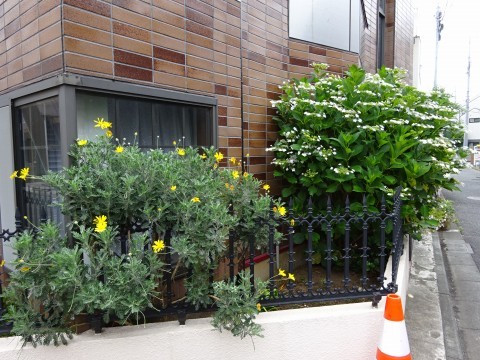 c0322794_14383447.jpg