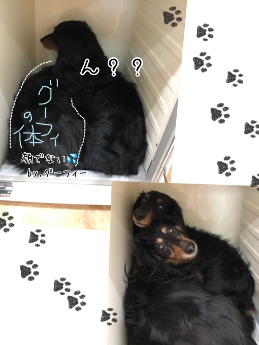 d0269898_18205151.jpeg