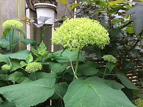 d0046702_07431930.jpg