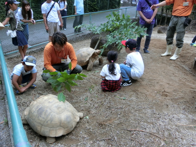 どうぶつ×飼育員アワード2019 スペシャルガイドを行いました_c0290504_15024347.jpg