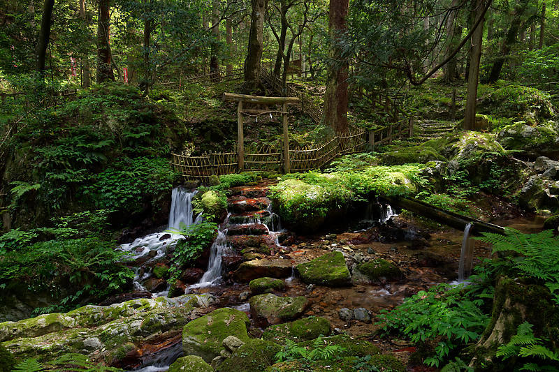f0032011_22464069.jpg