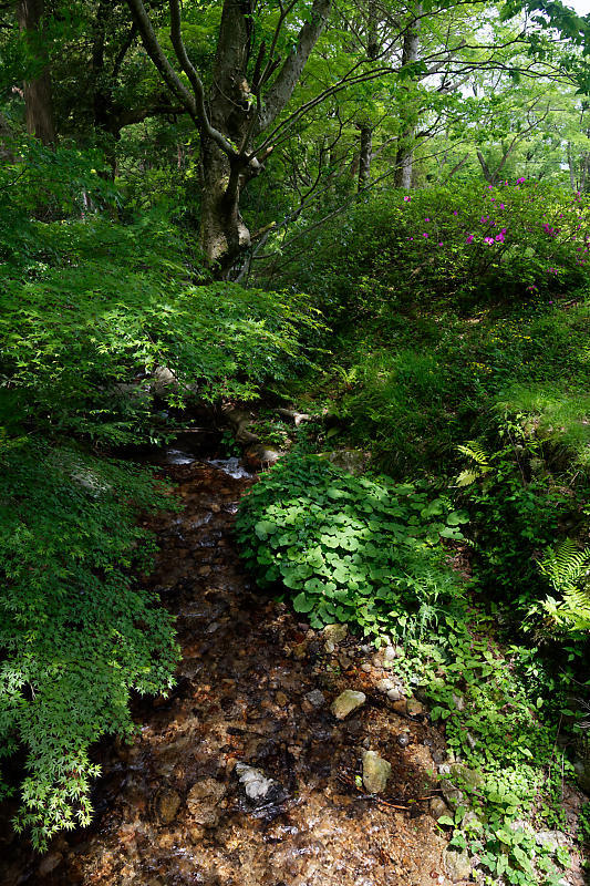 f0032011_22474636.jpg