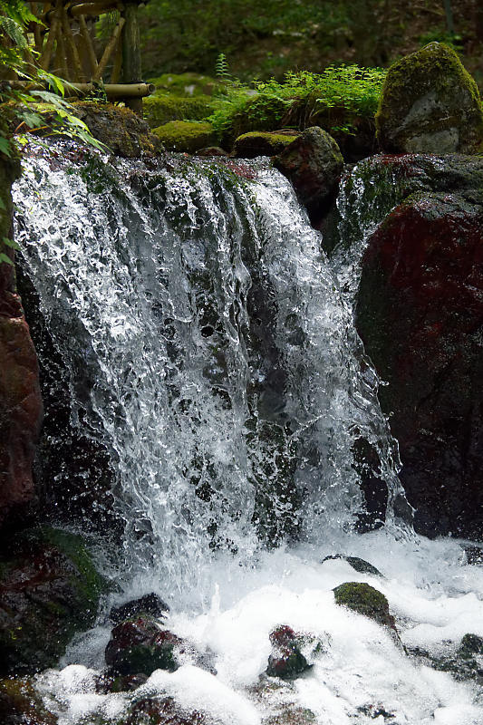 f0032011_22570080.jpg