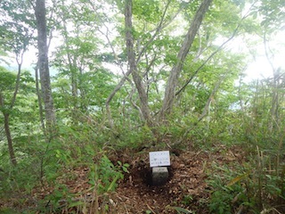 瓢箪から駒、的な…三角点踏査・朽ケ洞_c0359615_20214022.jpg