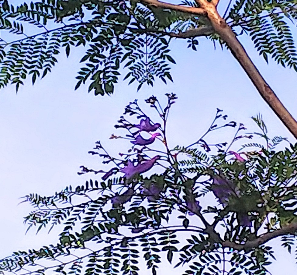 a0098418_14555294.jpg