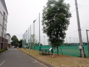 d0106518_23001683.jpg