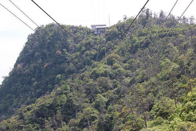 c0280322_23252601.jpg