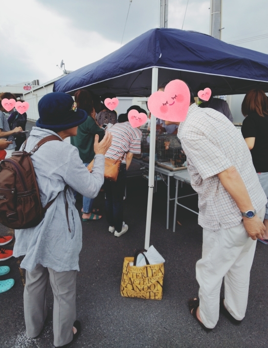 今日の里親会_d0233224_02032176.jpg