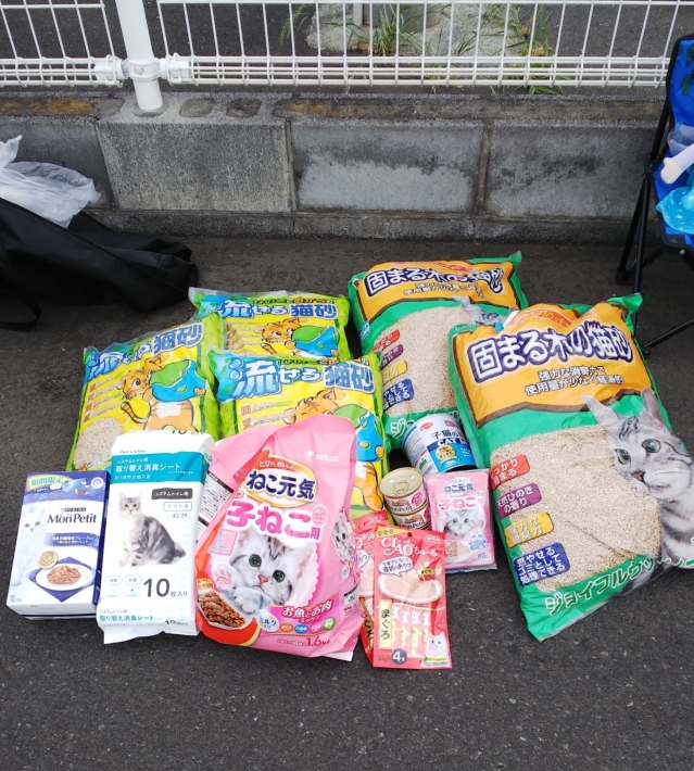 今日の里親会_d0233224_02055079.jpg