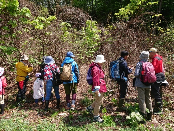 f0118332_01110604.jpg