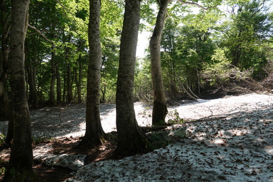 f0118332_19452488.jpg